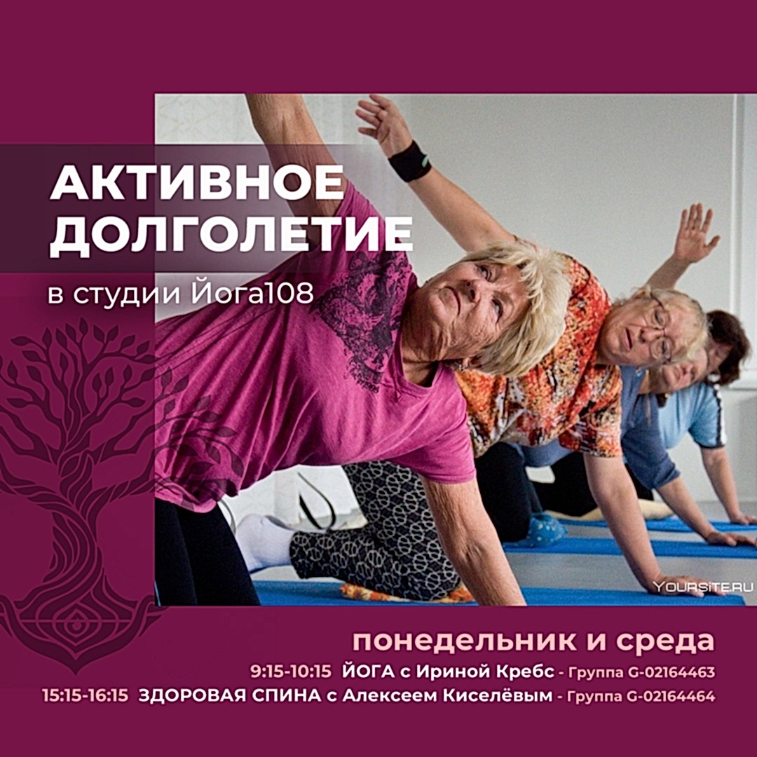 Подробнее о статье Московское долголетие в Йоге108
